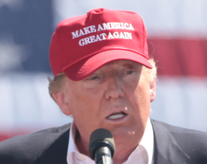 Make America Great Again Hat